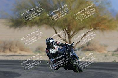 media/Feb-04-2023-SoCal Trackdays (Sat) [[8a776bf2c3]]/Turn 4 (Tree of Life 2pm)/